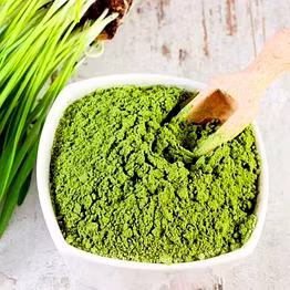 TRITICUM AESTIVUM (WHEATGRASS) POWDER\WHOLE