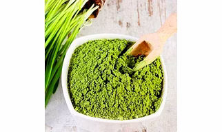 TRITICUM AESTIVUM (WHEATGRASS) POWDER\WHOLE