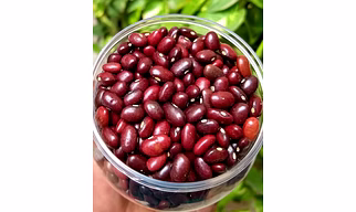 KIDNEY BEANS (RED RAJMA)