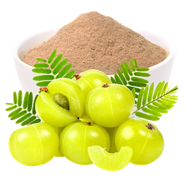 emblica officinalis (amla) whole\powder