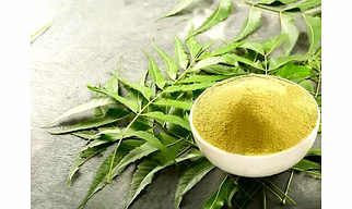 AZADIRACHTA INDICA (NEEM) LEAVES\POWDER
