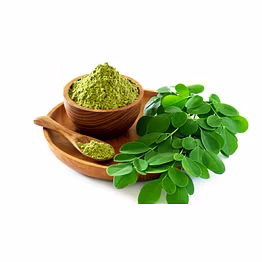MORINGA OLEIFERA (MORINGA) LEAVES\POWDER