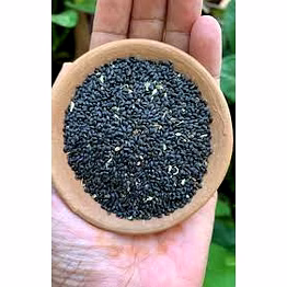 basil seeds