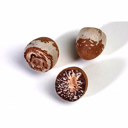 betel nuts (areca catechu)