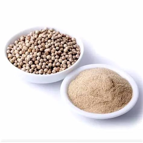 White Pepper (Piper nigrum) image 3