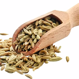 fennel (foeniculum vulgare) seeds
