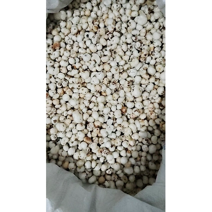 MAKHANA (FOX NUT)-2