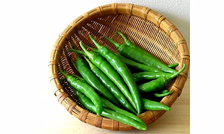 FRESH GREEN CHILLI G4