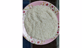 Broken rice IR 64