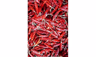 pandi whole red chili