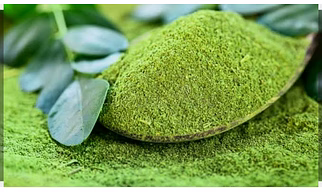 Moringa Powder