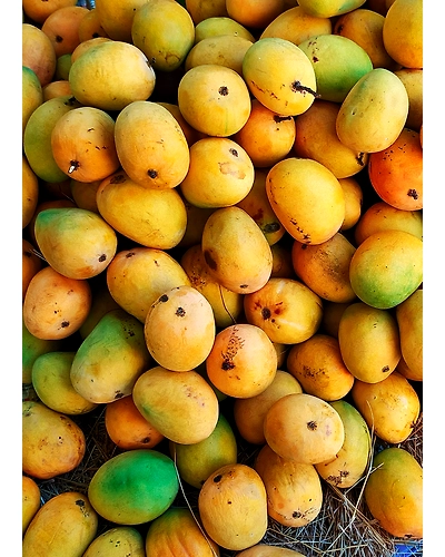 Mango-1