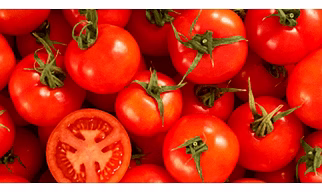 Fresh Tomatoes