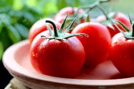 Fresh Tomatoes-2