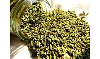 FENNEL SEEDS