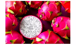 DRAGON FRUIT