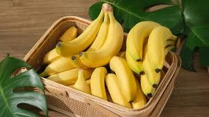 FRESH BANANAS-12654145