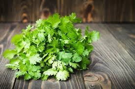 GREEN CORIANDER-1