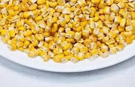 FROZEN AND DREID CORN(MAIZE)-2