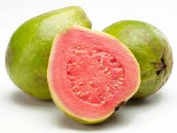 GUAVA-1