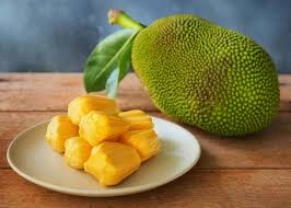 JACKFRUIT-12654463