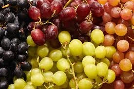 GRAPES-12654485