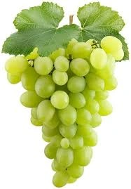 GRAPES-1