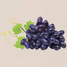 GRAPES-2