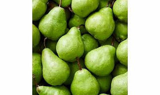 PEAR