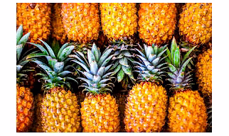 PINEAPPLE