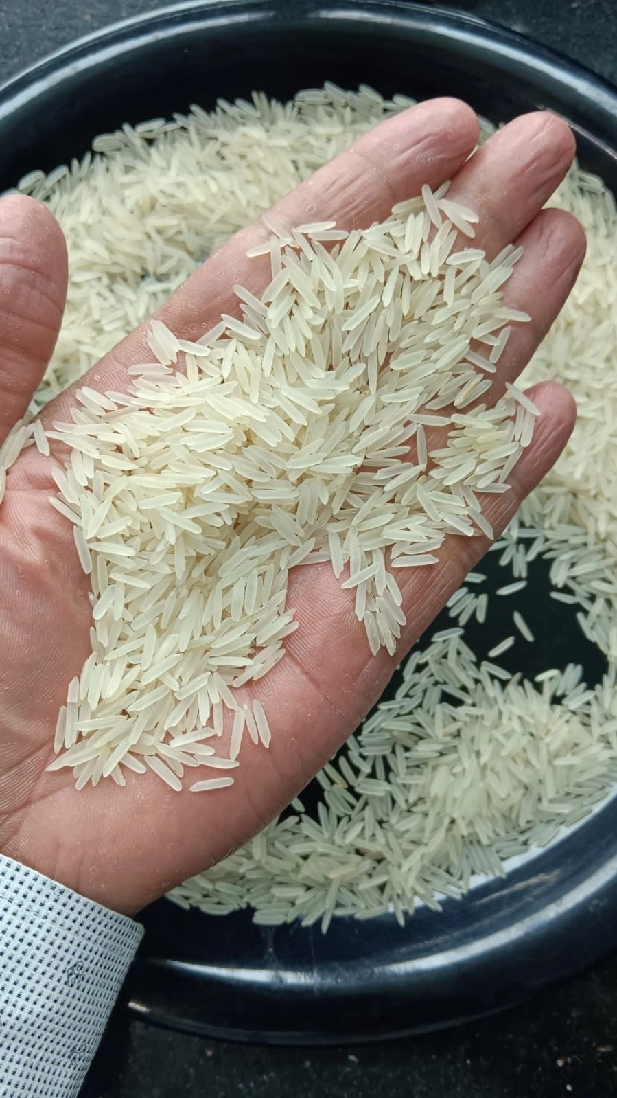 Basmati RIce-12654133