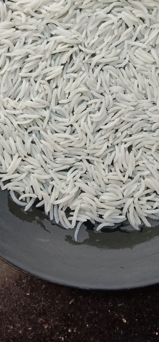 Basmati RIce-1