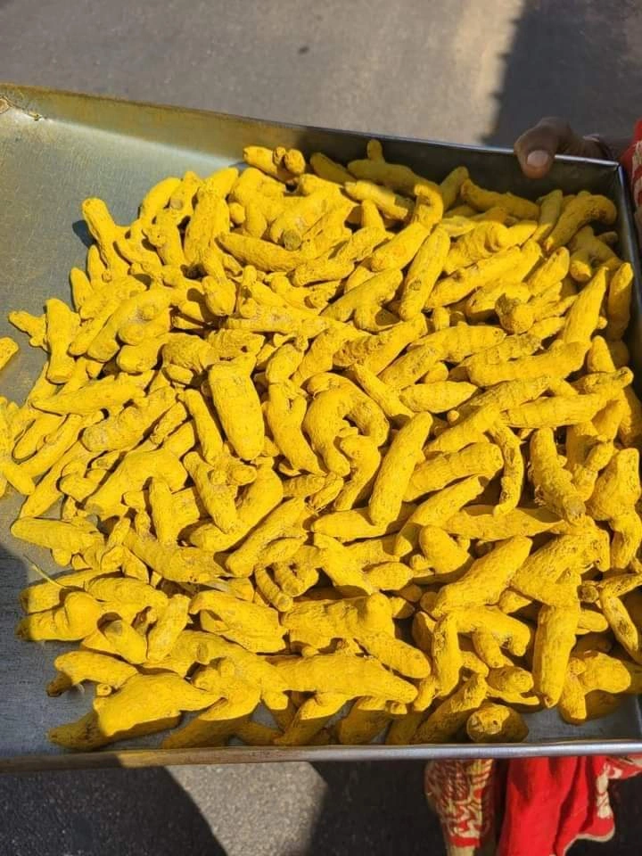 Dried Turmeric-1