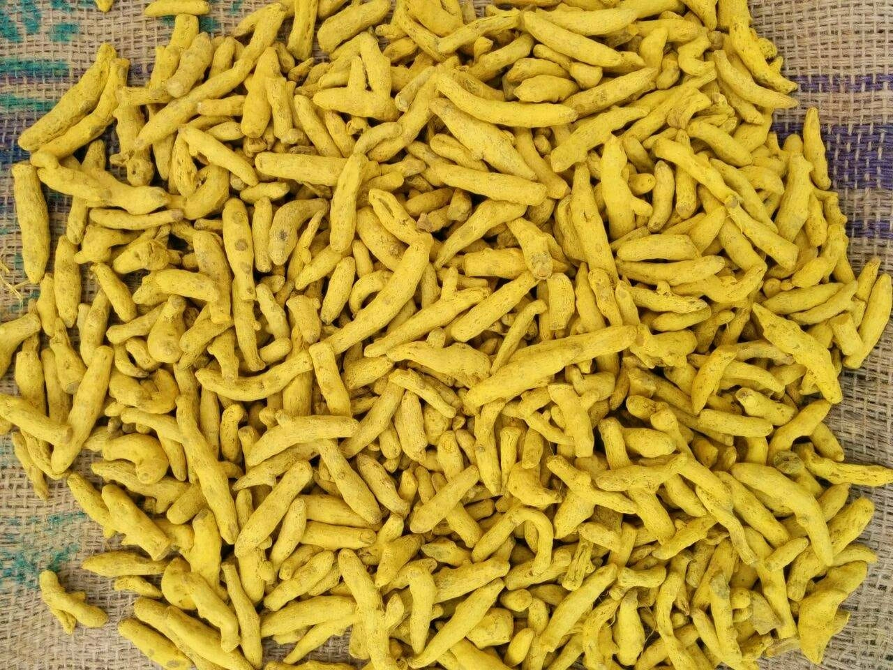 Dried Turmeric-12655935