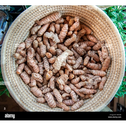 Fresh Turmeric-2