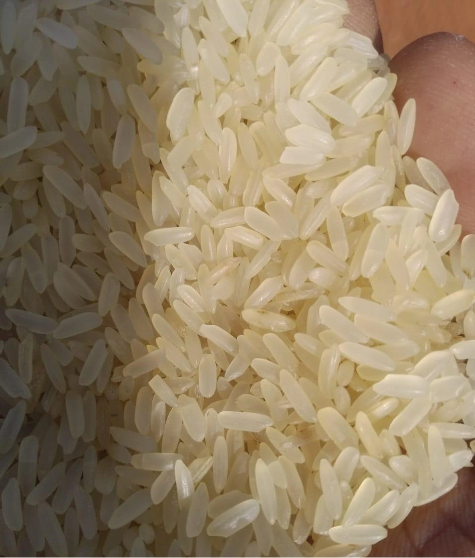 IR 64 PARBOILED RICE-1