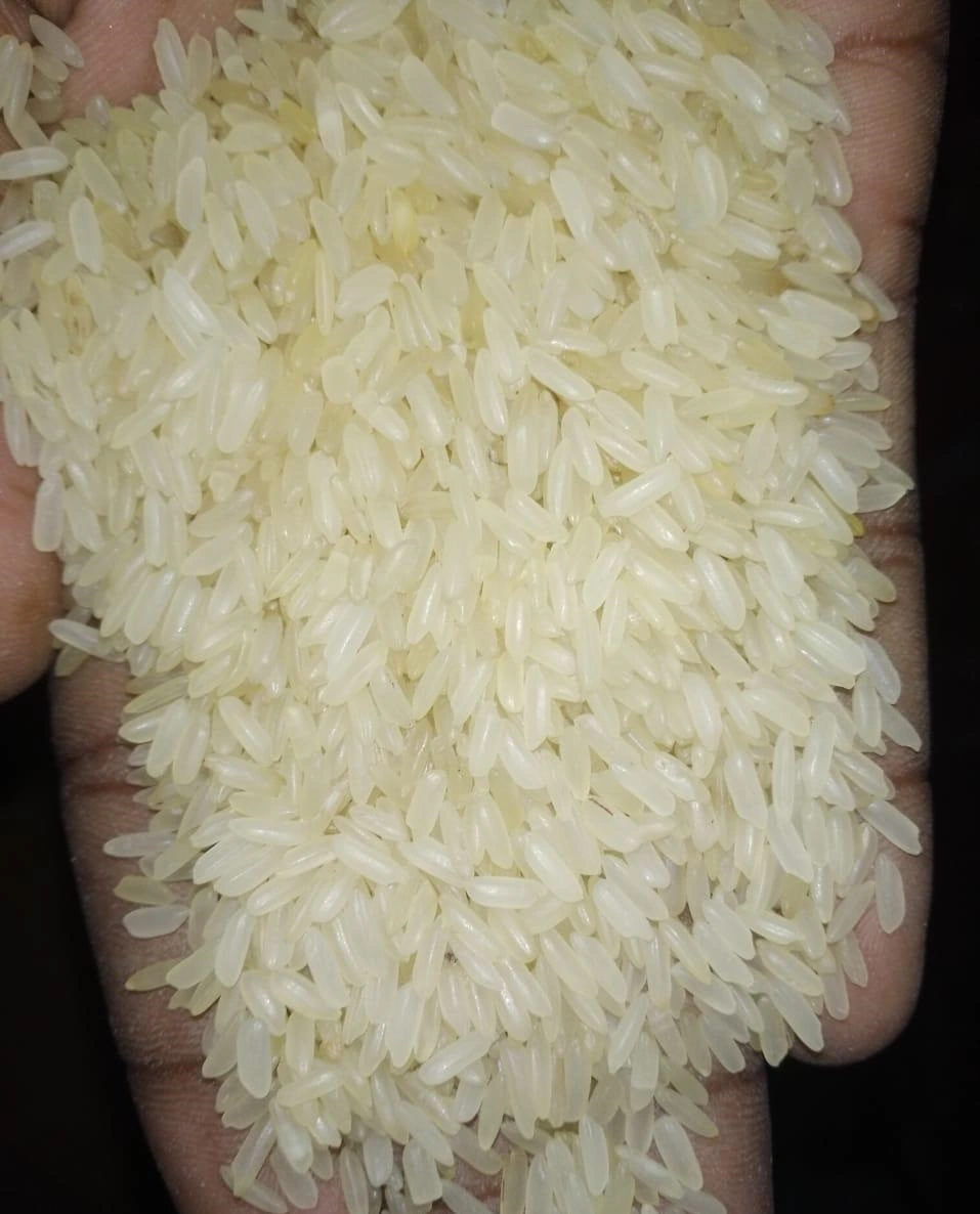 IR 64 PARBOILED RICE-2