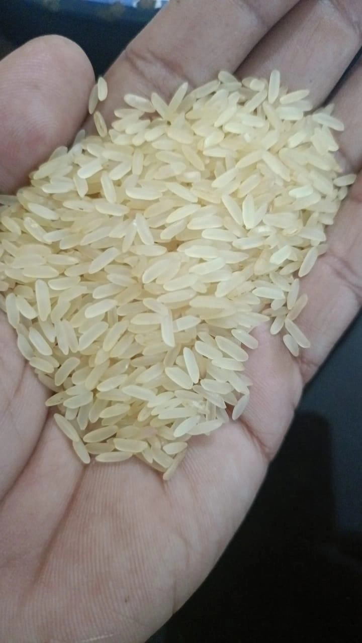 IR 64 PARBOILED RICE-3