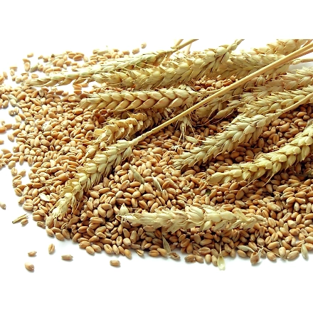 WHEAT-2