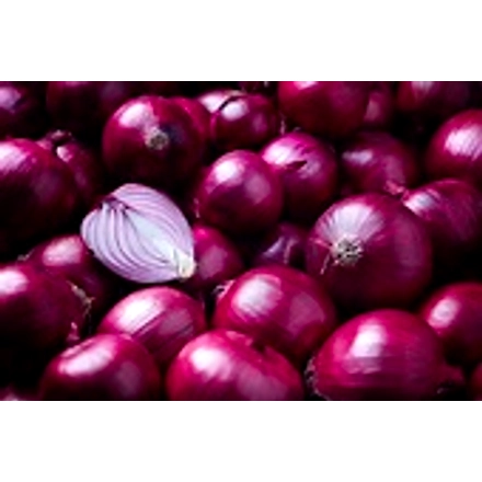 onion-1