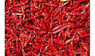 Dry Red Chilli