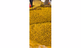 Turmeric