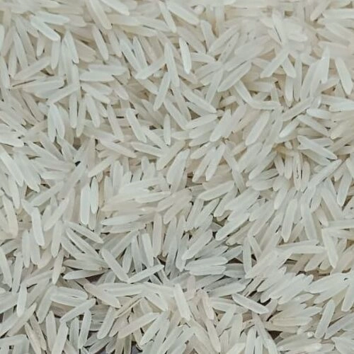 Rice-12654561