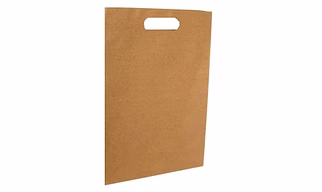 Brown Paper Medical Bag with D-Cut Handle