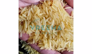 1401 Golden Rice