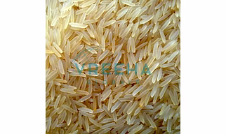 1401 Steam Rice