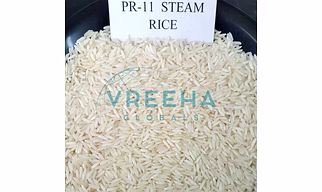 PR 11 Steam