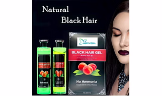 Fruit Vinegar Professional Gel hair Color for Both Men & Women (500ml x 2) , Black