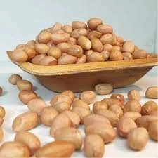 Groundnut Seeds-2