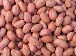 Groundnut Seeds-3